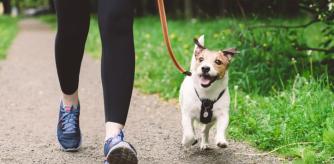 Una persona paseando a su perro.