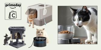 Accesorios para gatos con descuento del Prime Day