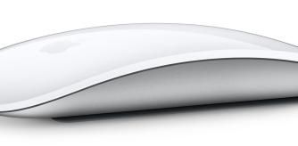 Un ratón con un diseño icónico