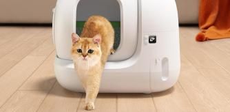 Su tamaño interior es de 76 litros, por lo que es válido para gatos pequeños y grandes