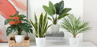 Lleva la tendencia más natural a tu recibidor con estas plantas artificiales parecen de verdad