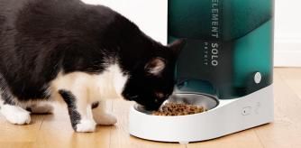 Es el comedero más vendido de Amazon y ahora está con descuento por la Fiesta de las Ofertas de Primavera