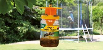 Trampa contra las avispas para el jardín de tu casa
