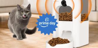 Todo lo que necesitas para tu gato está en oferta en el Prime Day de Amazon