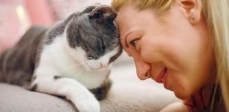 Productos imprescindibles para cuidar a tu gato