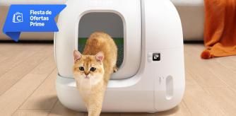 Areneros, rascadores y otros productos para tu gato con descuento Prime