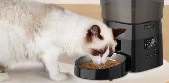Gato comiendo en el dispensador.