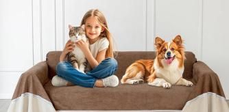 Una niña con sus mascotas en el sofá