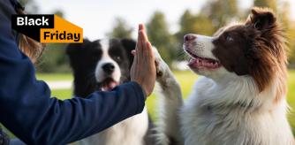 Productos para perros Black Friday 2025
