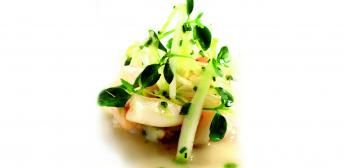 crema de endibias con navajas