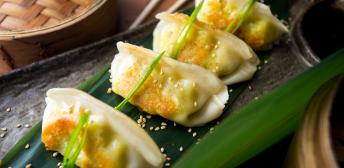 Gyozas de verduras