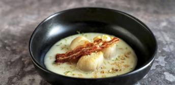 Crema de Chirivía con vieiras