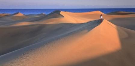 De marzo a mayo de 2026