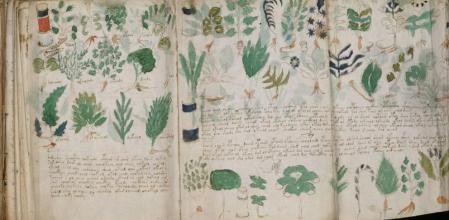 El Manuscrito Voynich.