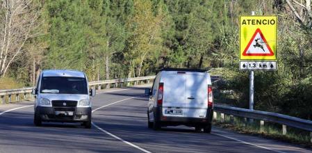 La presencia de animales en la carretera representa un peligro para los conductores&nbsp;