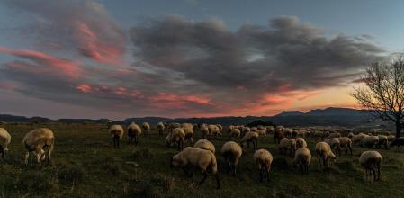 Bucólico atardecer de invierno en Manlleu.
