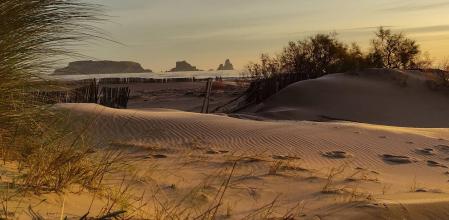 Paisaje de dunas en la Gola del Ter.