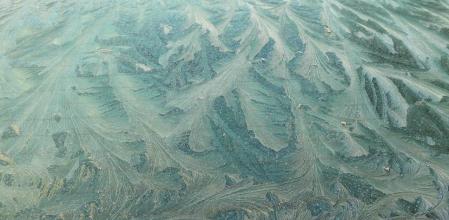 Adivina adivinanza, ¿quién ha pintado este cuadro de hojas?
