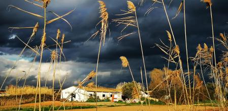 El cielo del Camí del Mar quedó totalmente obstaculizado por estas nubes.