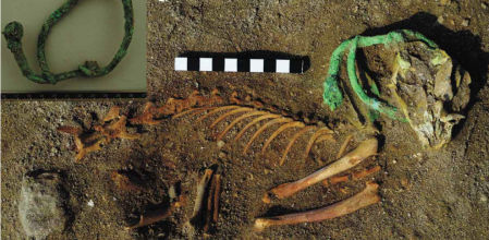 Muchos de los animales enterrados llevaban collares