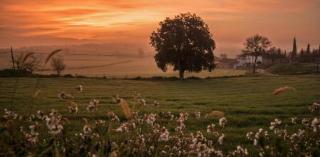 Vistas del amanecer en Sant Martí Sescorts.
