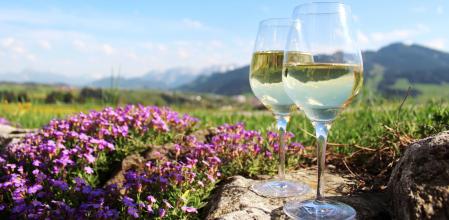 7 vinos elaborados para disfrutar de la época primaveral