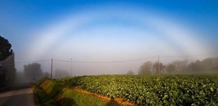 Arco de niebla cerca de la masía La Salada.