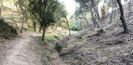 El antiguo camino a Sa Riera, en Begur, tras la limpieza perimetral de los bosques en abril de 2021.