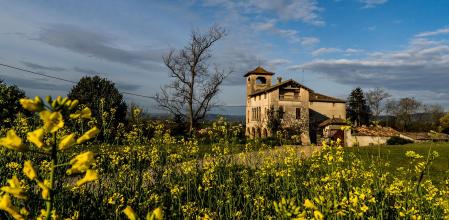 Paisaje floral de Granollers de la Plana.