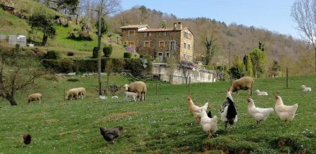 Panorámica de Mas Can Cels.