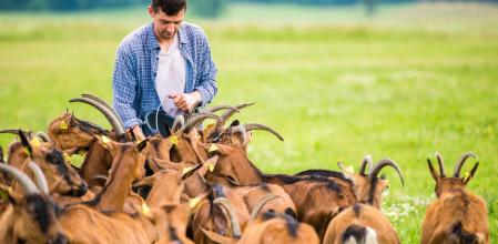 Agricultura y ganadería ecológica