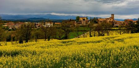Paisaje de Sant Bartomeu del Grau.