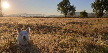 Panorámica del Penedès junto a Sheldon.