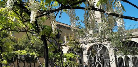 Vistas del jardín de Mercè Rodoreda.