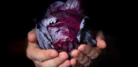 Agricultor sujetando una col lombarda