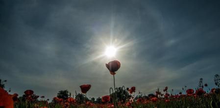 Halo solar con parhelio en Les Masies de Roda, en Osona.