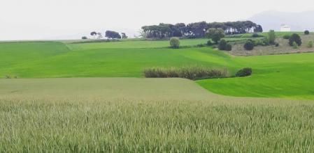 Panorámica de Gallecs.