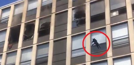 Un salto de vértigo.