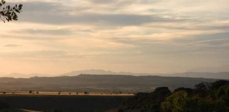 Reto visual: ¿Dónde está el águila?
