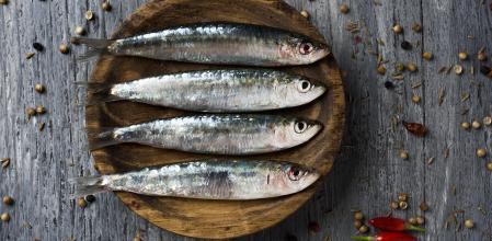 Sardinas