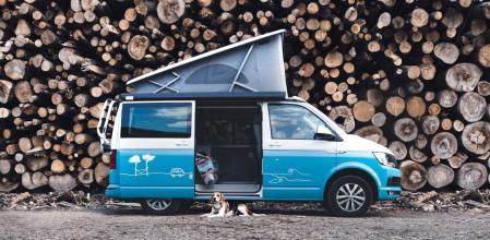 Consejos viajar autocaravana mascota