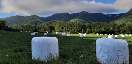 Niebla en la Serra dels Llancers.