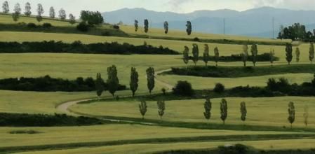 Paisaje de la Cerdanta, entre Bolvir y Guils.