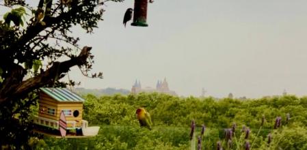 Unos coloridos pájaros descansando en Vila Olímpica, Barcelona.