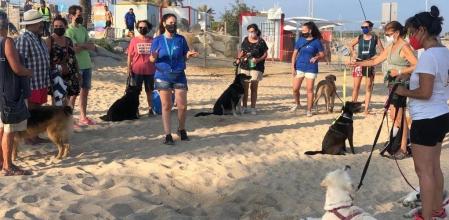 La playa para perros de Mataró restringe el acceso a los canes con chip