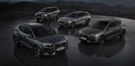 Modelos disponibles: Ateca, Born, Formentor, León<br>