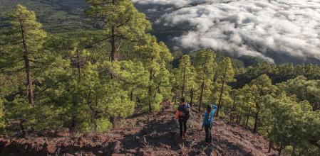 Vivir como sueñas en La Palma: 10 razones para viajar a la 'isla bonita' de las Canarias