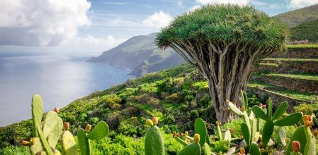 Vivir como sueñas en La Palma: 10 razones para viajar a la 'isla bonita' de las Canarias