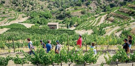 13082021 Poboleda, Visitas bodegas del Priorat. Cada vez más abiertos a visitas y catas para turistas, Mas Sinen, de Salvador Burgos propietario que realiza la visita