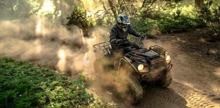 En los últimos tiempos, las marcas están apostando de nuevo por el quad, un vehículo que, bien empleado, sigue siendo una buena alternativa para moverse por montaña&nbsp;